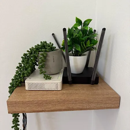 Brand New Lungomare *