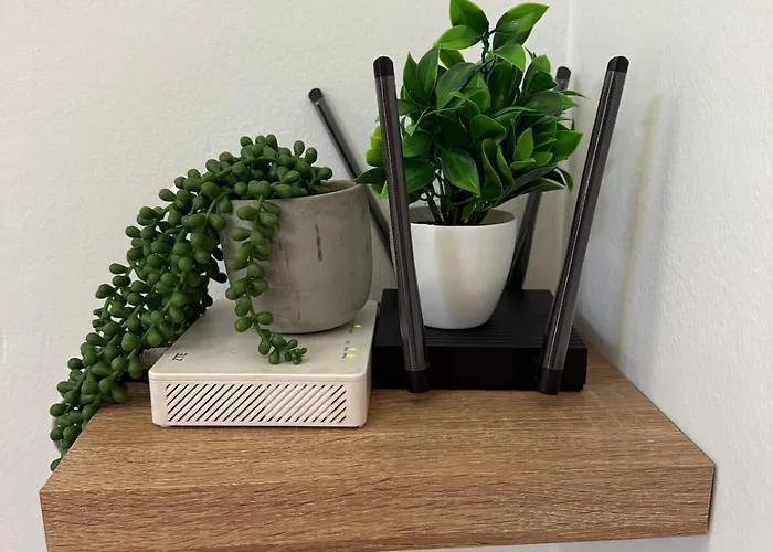 Brand New Lungomare *